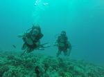 Hawaii Scuba divng 94