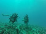 Hawaii Scuba divng 95