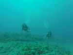 Hawaii Scuba divng 96