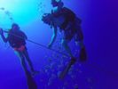 Hawaii Scuba divng 10