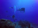 Hawaii Scuba divng 19