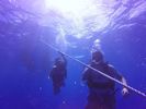 Hawaii Scuba divng 02