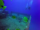 Hawaii Scuba divng 34