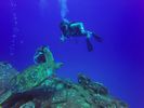 Hawaii Scuba divng 42