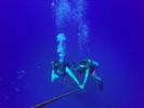 Hawaii Scuba divng 48