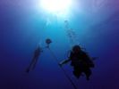 Hawaii Scuba divng 04