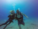 Hawaii Scuba divng 56