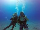 Hawaii Scuba divng 57