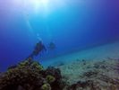 Hawaii Scuba divng 58