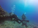 Hawaii Scuba divng 59