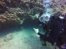 Hawaii Scuba divng 60