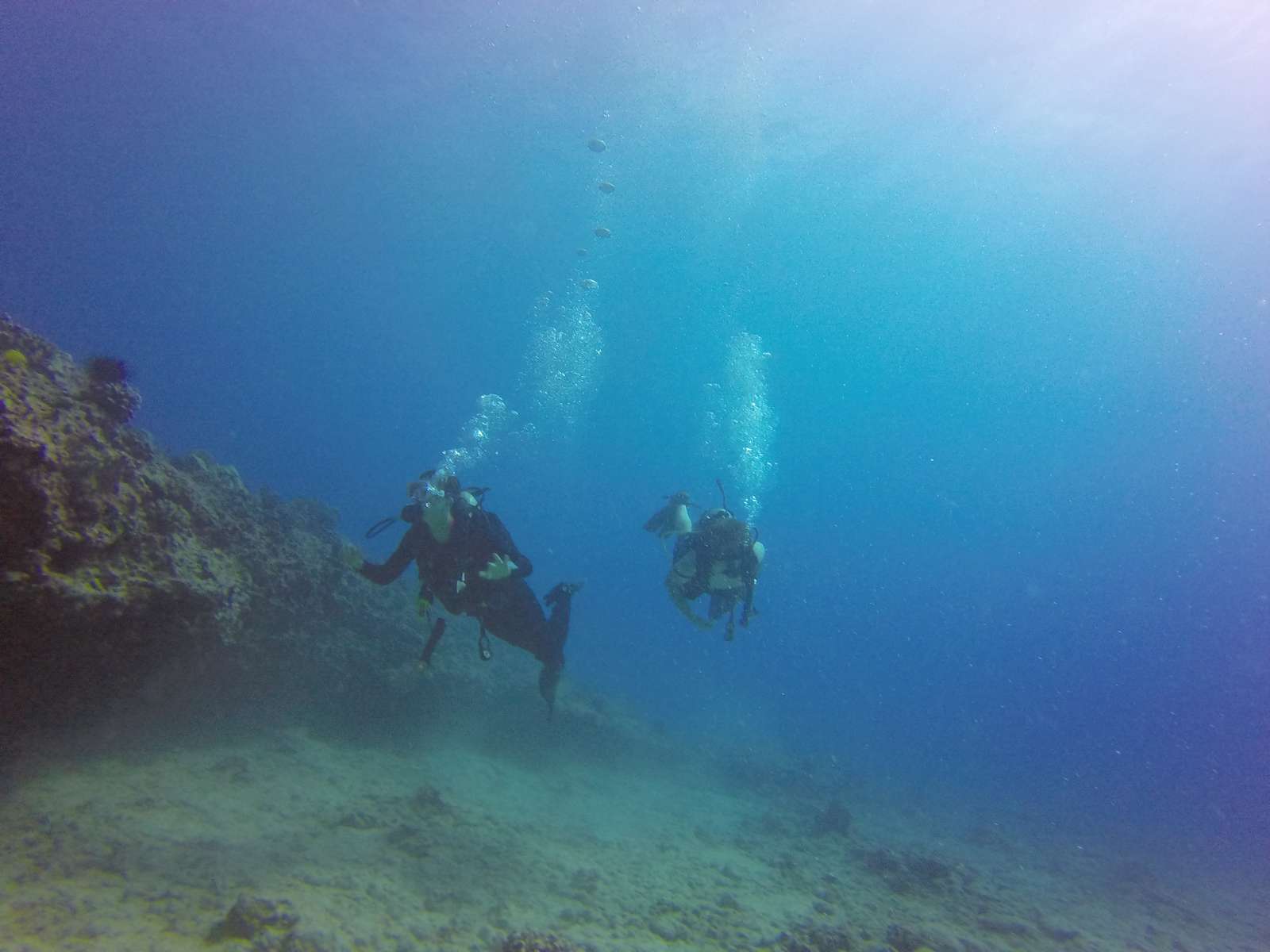Hawaii Scuba Diving - 08-02-2016