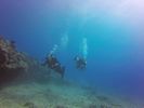 Hawaii Scuba divng 63