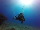 Hawaii Scuba divng 65