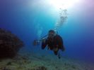 Hawaii Scuba divng 66