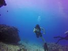 Hawaii Scuba divng 74