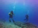 Hawaii Scuba divng 75