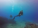 Hawaii Scuba divng 76