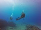 Hawaii Scuba divng 77