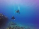 Hawaii Scuba divng 78