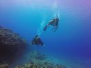 Hawaii Scuba divng 80