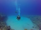 Hawaii Scuba divng 85