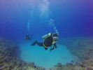 Hawaii Scuba divng 86