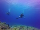 Hawaii Scuba divng 88