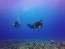 Hawaii Scuba divng 89