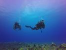 Hawaii Scuba divng 90