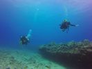 Hawaii Scuba divng 91