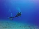 Hawaii Scuba divng 93