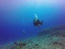 Hawaii Scuba divng 95