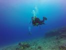 Hawaii Scuba divng 96