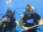 Hawaii Scuba divng 20