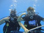 Hawaii Scuba divng 24