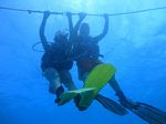 Hawaii Scuba divng 25