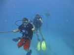 Hawaii Scuba divng 29