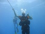 Hawaii Scuba divng 32