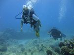 Hawaii Scuba divng 34