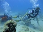 Hawaii Scuba divng 36