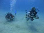 Hawaii Scuba divng 37