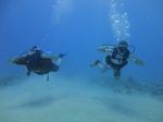 Hawaii Scuba divng 39