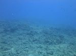 Hawaii Scuba divng 03