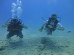 Hawaii Scuba divng 54