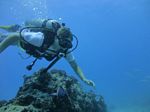 Hawaii Scuba divng 58