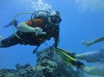 Hawaii Scuba divng 59