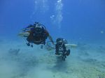 Hawaii Scuba divng 60