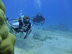 Hawaii Scuba divng 62