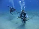 Hawaii Scuba divng 65